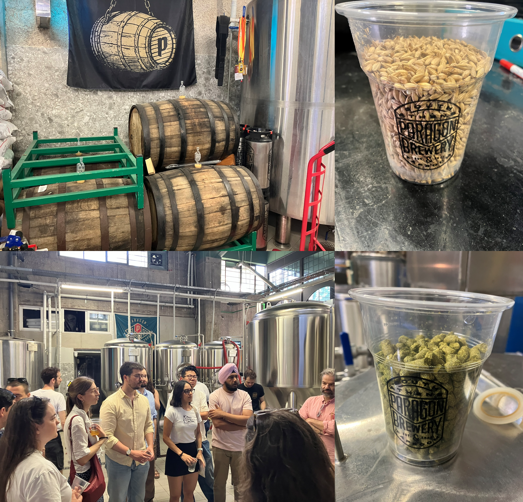 brew3 brew3