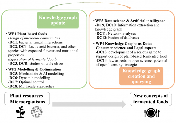 WP_overview